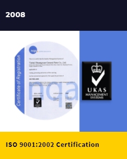 h2008